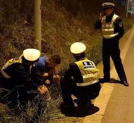 路边吃瓜大爷后续视频,揭秘瓜田背后的故事