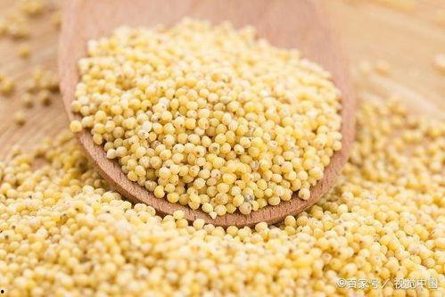 51丹小米的朋友圈吃瓜视频,一场吃瓜盛宴背后的故事