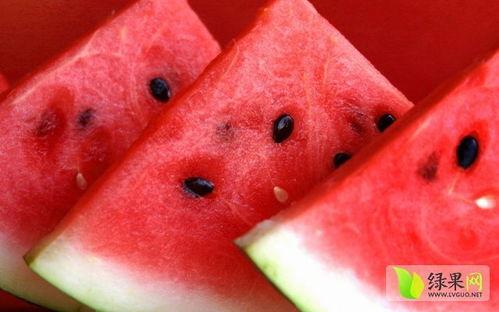 什么瓜随便吃会中毒呢视频,随意食用哪些“瓜”可能导致中毒？揭秘食品安全知识