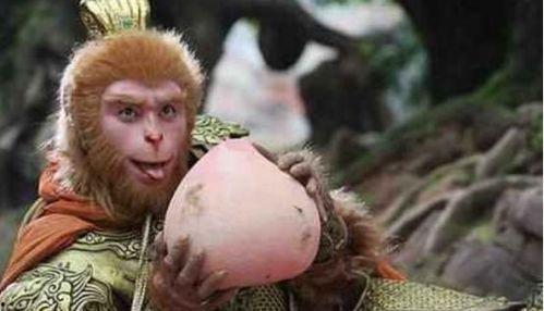 西游记之孙悟空吃瓜视频,西游记中的趣味瞬间