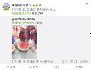 吃瓜视频爆料大学,大学生校园生活背后的惊人真相