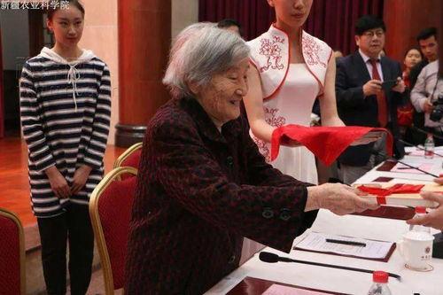 吃瓜视频老太太在线观看,网络世界里的欢乐时光