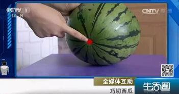 自由吃瓜文明吐籽视频,吐籽视频中的趣味与思考