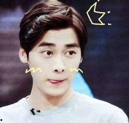 李易峰韩国吃瓜事件视频,真相揭秘与网络热议