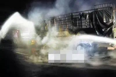 蚌埠吃瓜群众事件视频,网络舆论的风暴与反思