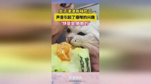 七彩猫吃瓜视频