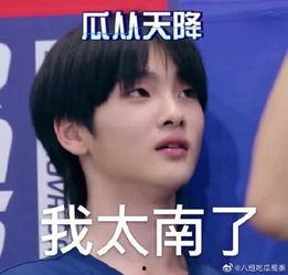 少年周震南吃瓜视频,揭秘娱乐圈幕后真相