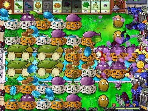 寻宝吃瓜视频完整版,探寻视频背后的精彩故事