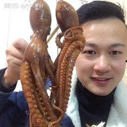 瓜哥带你吃瓜章鱼视频,一场味蕾与知识的奇妙之旅